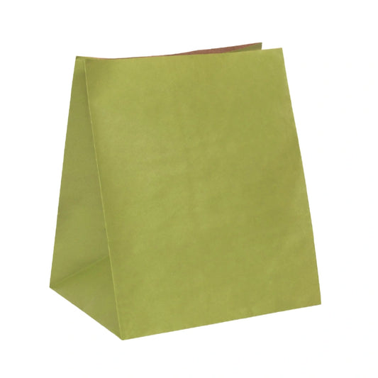 Bag, shopper, busta, sacchetto porta colomba pasquale di colore verde