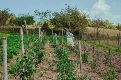 Spaventapasseri dissuasore per volatili a forma di gufo attivato dal vento giardino terrazzo