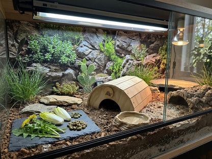 Casetta terrario per tartarughe di terra, anfibi, serpenti, rettili. In legno, di colore legno chiaro. Senza pavimento, a forma di cupola