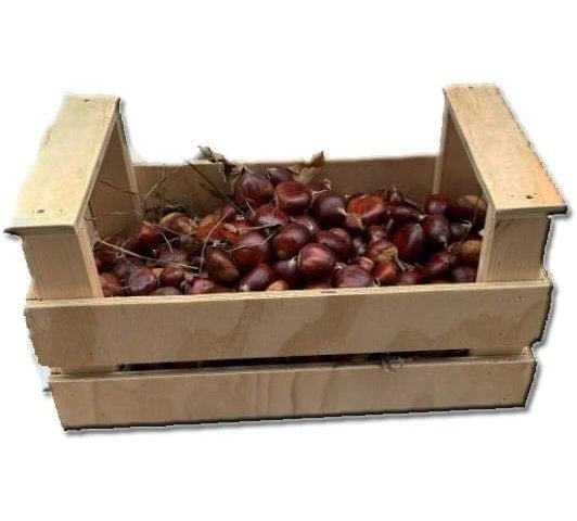 Cassetta in legno contenitore box trasportino porta oggetti per castagne nocciole cm 22 x 40 x h 21