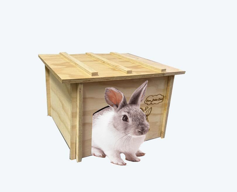 Cuccia casetta terrario in legno per coniglio nano. Dimensioni dellavbase della cuccia: cm 30 x 30 x altezza cm 27. Dimensioni del tetto: cm 30 x 35