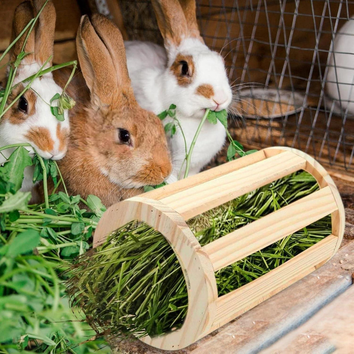 Mangiatoia in legno per conigli criceti scoiattoli roditori cincillà fieno cm 20 x 14