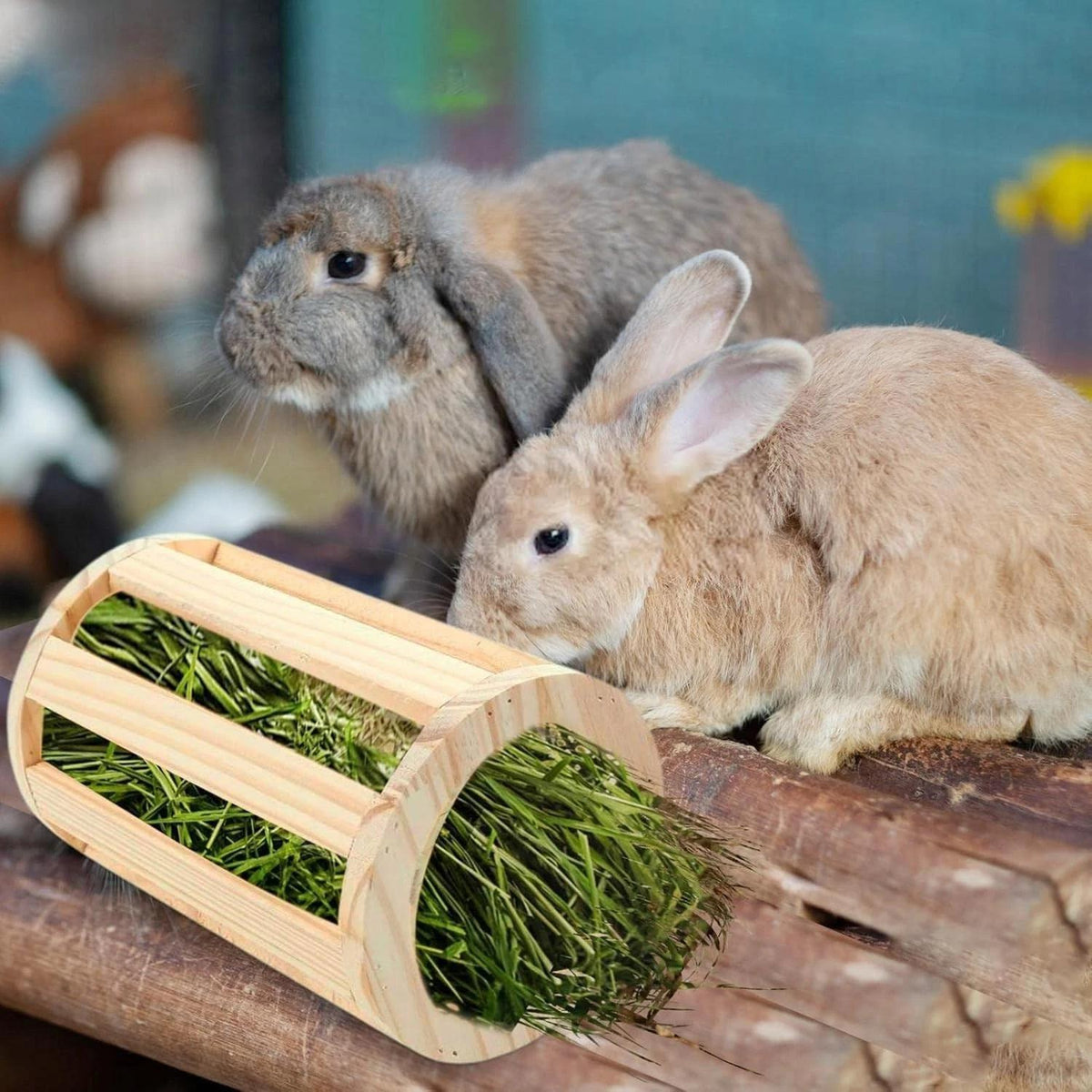 Mangiatoia in legno per conigli criceti scoiattoli roditori cincillà fieno cm 20 x 14