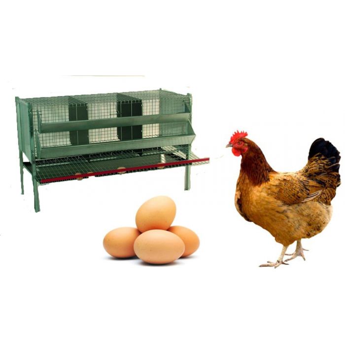 Gabbia 3 posti per allevamento galline ovaiole in lamiera zincata